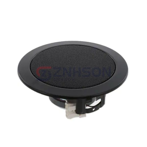 DL 10 - 8 OHM (RAL 9005) Preview
