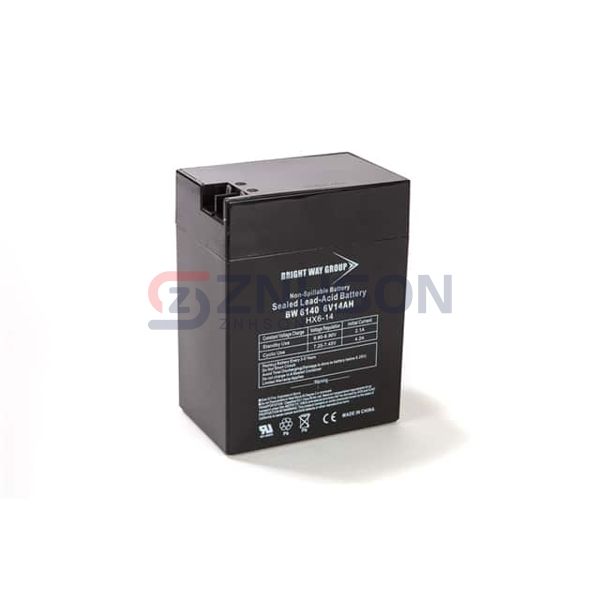 BW 6140 F2/F1 Preview