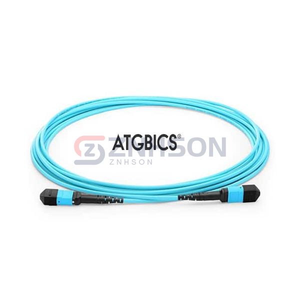 TCAB-8MTPFF-OM3-2M Preview