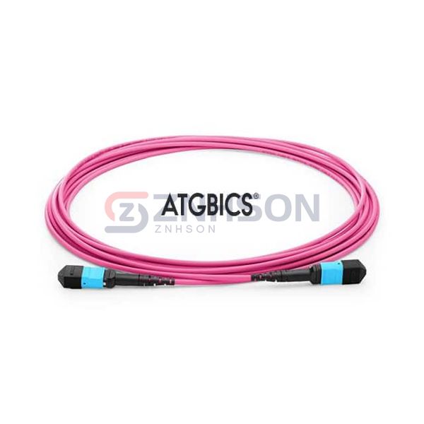 TCAB-24MTPFF-OM4-7M Preview