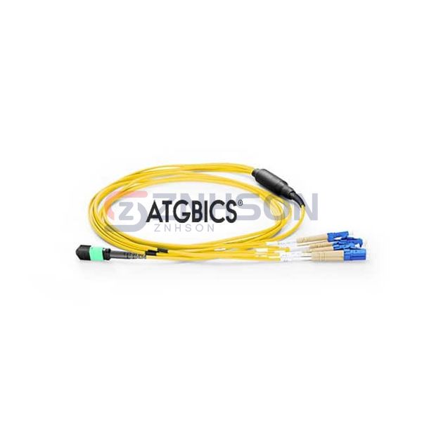 BOC-8MTPF-4LCOS2-1M Preview