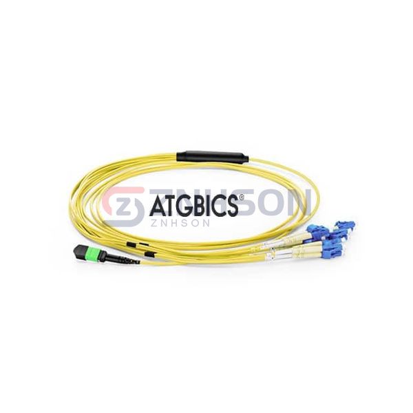 BOC-12MPOF-6LCOS2-7M Preview