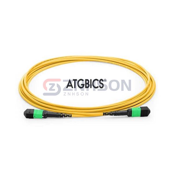 TCAB-24MTPFF-OS2-3M Preview