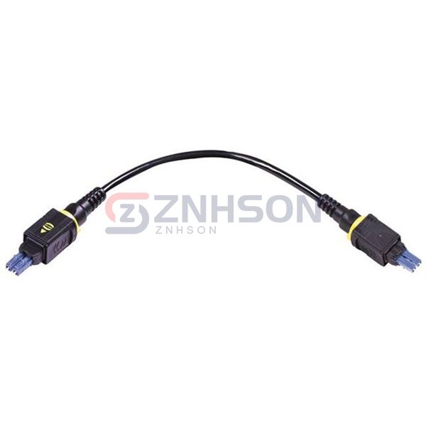 33612210050001 Preview