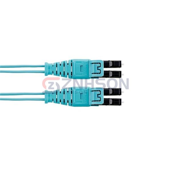 FZ2ELQ1Q1SNM041 Preview