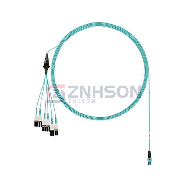 FXTRP8NUJSNF006 Preview