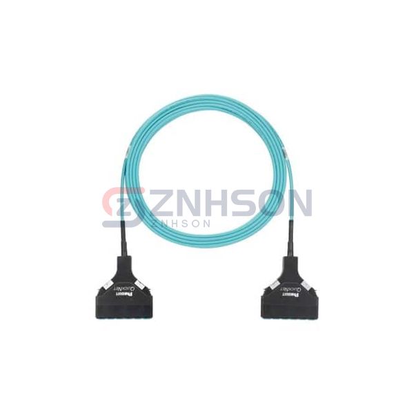 FZTSPXNXNSNF010 Preview