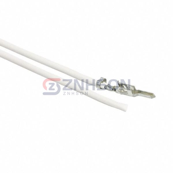 0039000040-02-W9 Preview