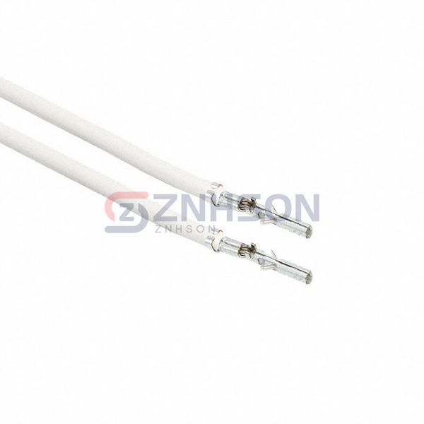 0039000038-04-W9-D Preview