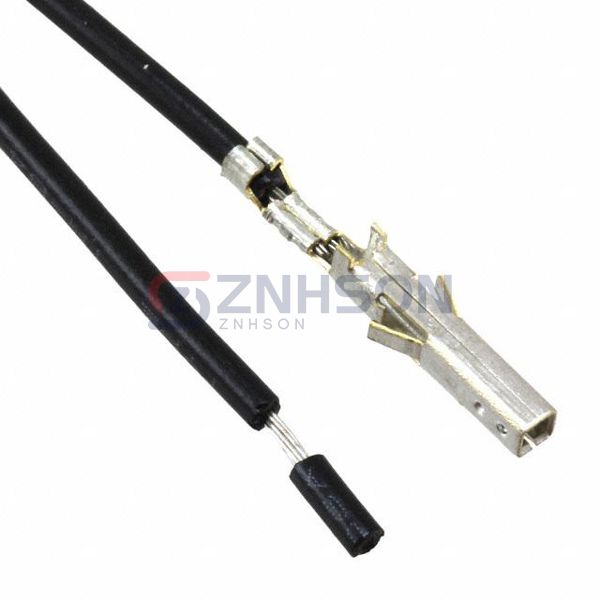 649600124015 Preview