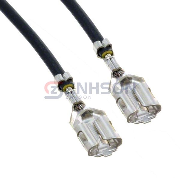 ASRSFSRSF16K152B Preview