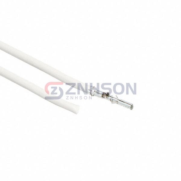 0039000059-10-W2 Preview