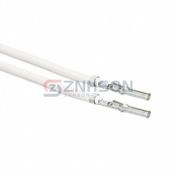 0002061101-10-W2-D Preview