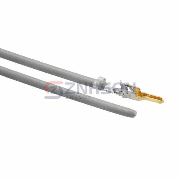 0039000219-11-S4 Preview