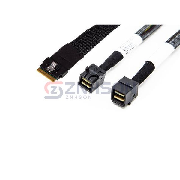 PT-SAS-SL8-43X2-1000 Preview