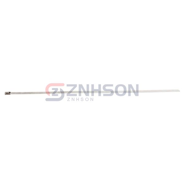 SSTIE-370-7316 Preview