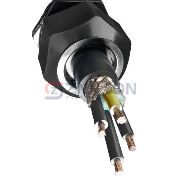 V16016 BK005 Preview