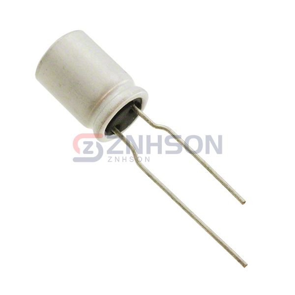 RNE1C821MDN1PH Preview