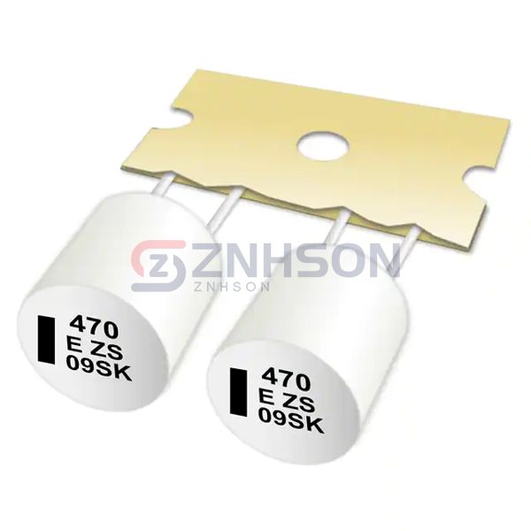 EEH-AZS1J101B Preview