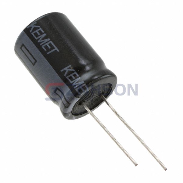 ESY397M100AN5AA Preview