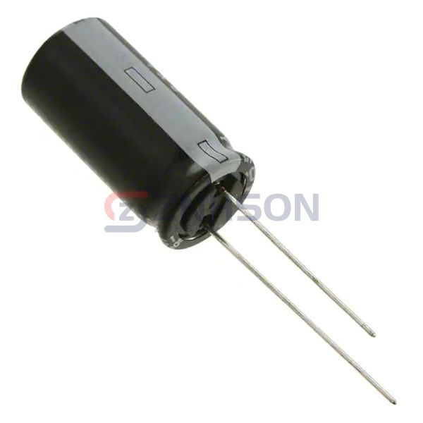 100YXG180MEFC12.5X25 Preview