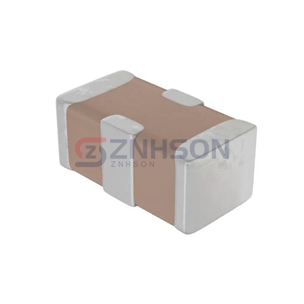 500X07N1R8DV4T Preview