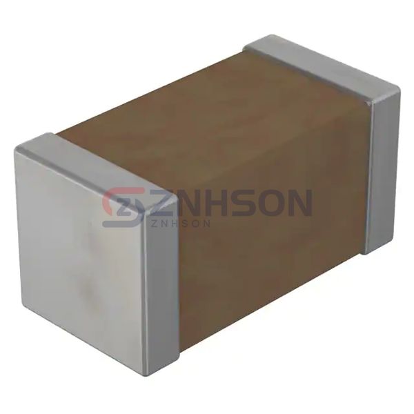 ES2211N100K502NTM Preview