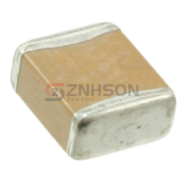 KTS250C336M55N0T00 Preview