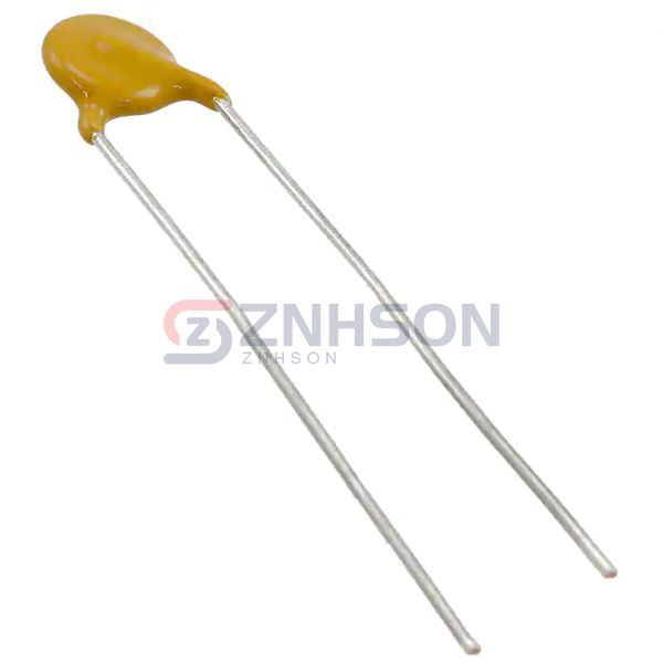 VY1102M29Y5VQ6UV0 Preview