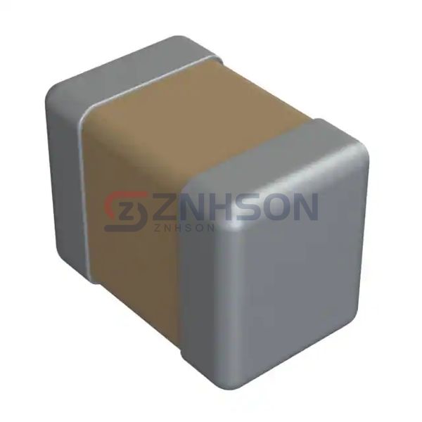 C08BL242X-5ZN-X0T Preview