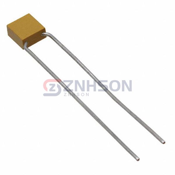 CCR05CG101JR Preview