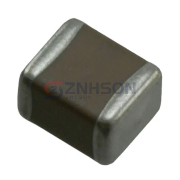 202S41W222KV4E Preview