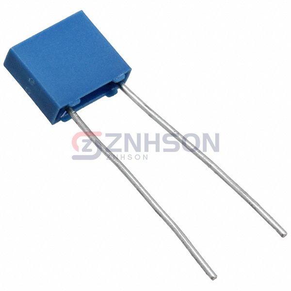 B32529C1153J289 Preview