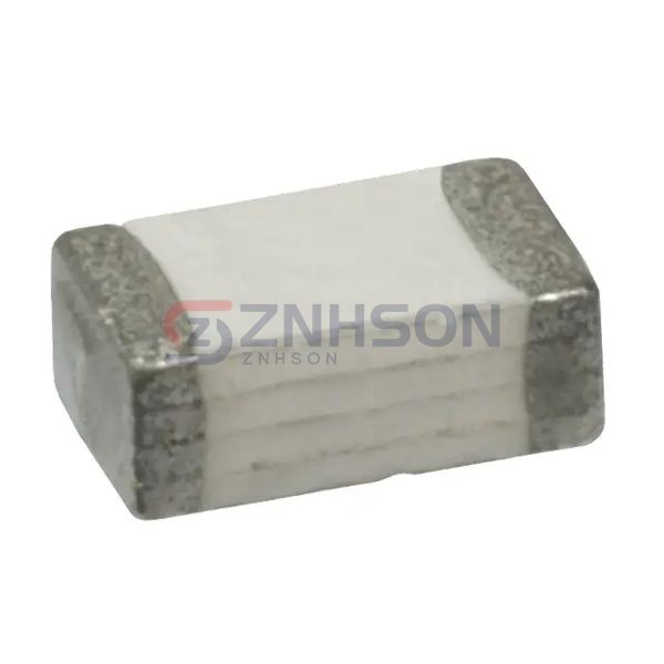 1206SFP100F/63-2 Preview