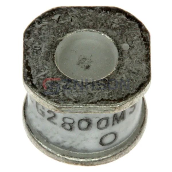 CG2800MS Preview