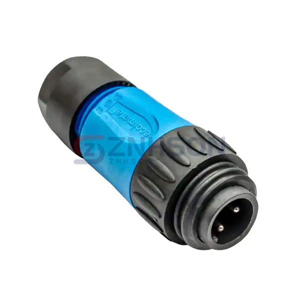 C01620H00311010 Preview