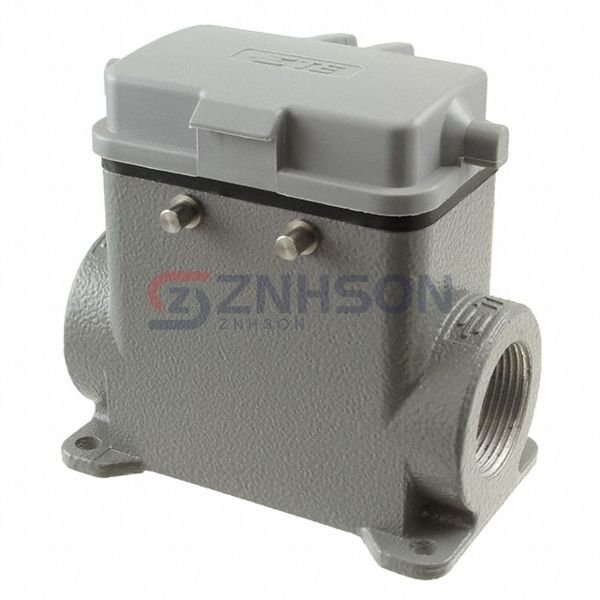 H10B-SDRH-BO-2PG21 Preview