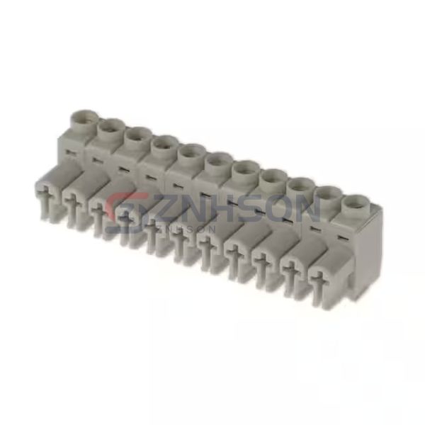 691385700011 Preview