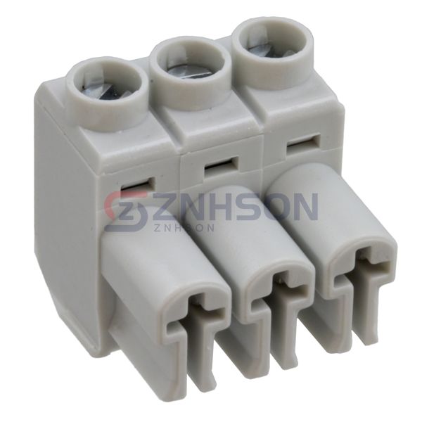 691385700003 Preview