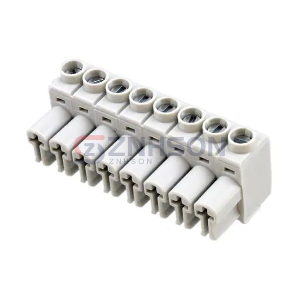 691385700008 Preview