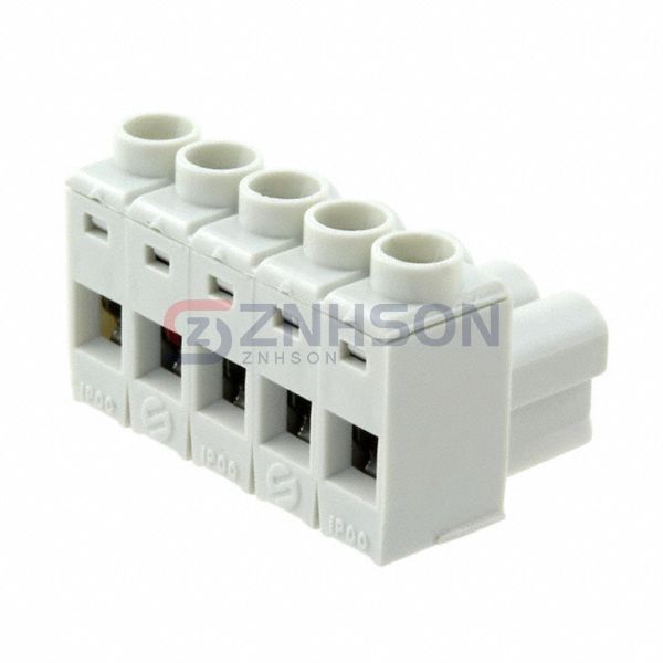 691385700005 Preview