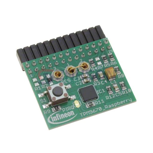 IRIDIUMSLI9670TPM20TOBO1 Preview