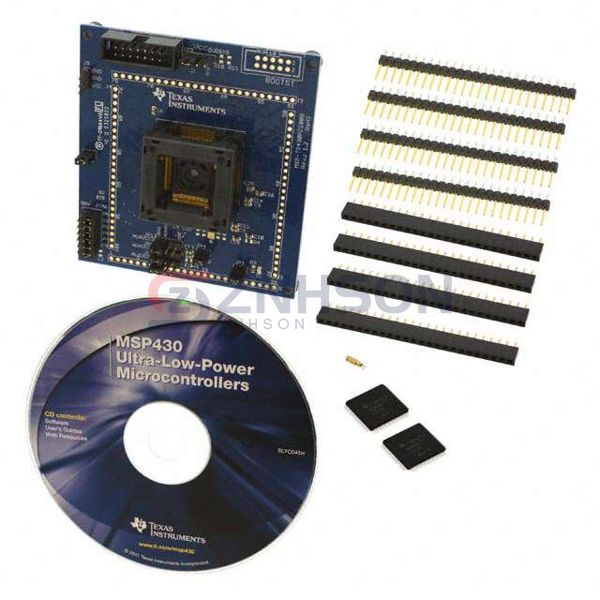 MSP-TS430PZ100B Preview