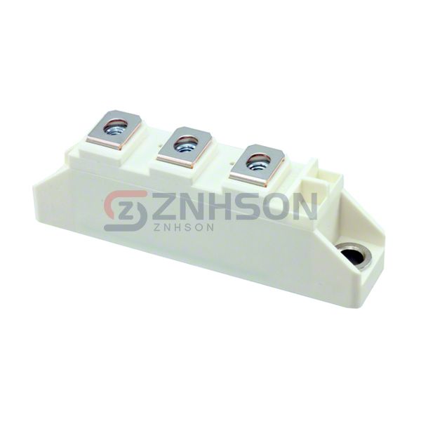 DD100N16SHPSA1 Preview