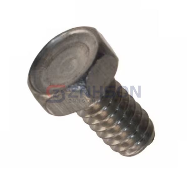 HMSSS 104 0038 Preview