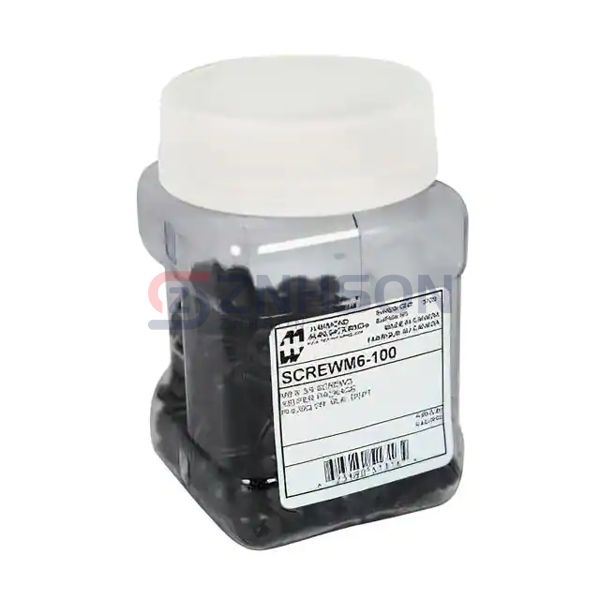 SCREWM6-100 Preview