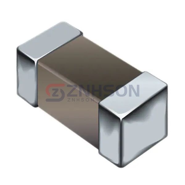 CS160808-1R0K Preview