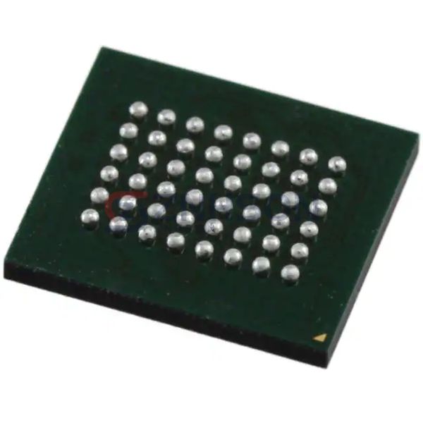 R1WV3216RBG-7SI#S0 Preview