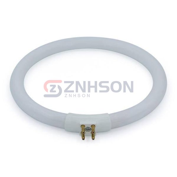 WW-Q23Q-6 Preview