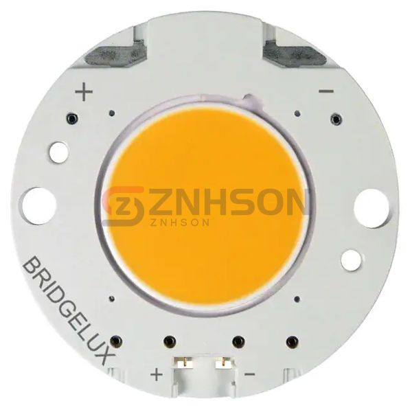 BXRC-30E4000-F-23 Preview
